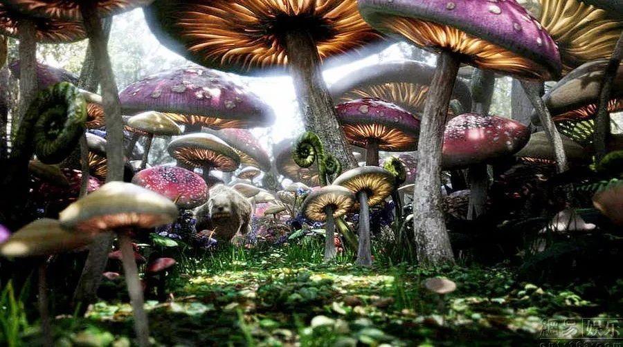 《繁花》隐秘的科幻元素：爷叔来自未来，料事如神，助力阿宝发迹